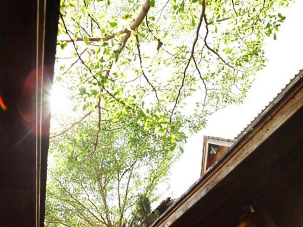 Loghome Boutique Chiang Mai Dış mekan fotoğraf